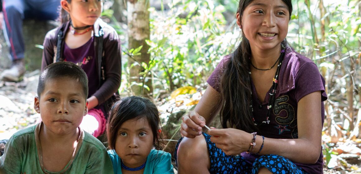 AUMENTA VIOLENCIA CONTRA DEFENSORES DE DDHH Y PERIODISTAS EN EL SUR DE MÉXICO