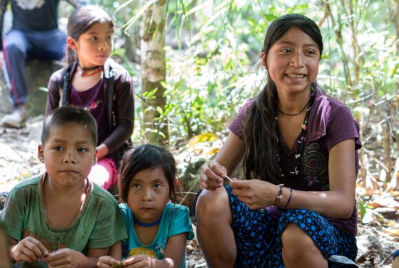 AUMENTA VIOLENCIA CONTRA DEFENSORES DE DDHH Y PERIODISTAS EN EL SUR DE MÉXICO